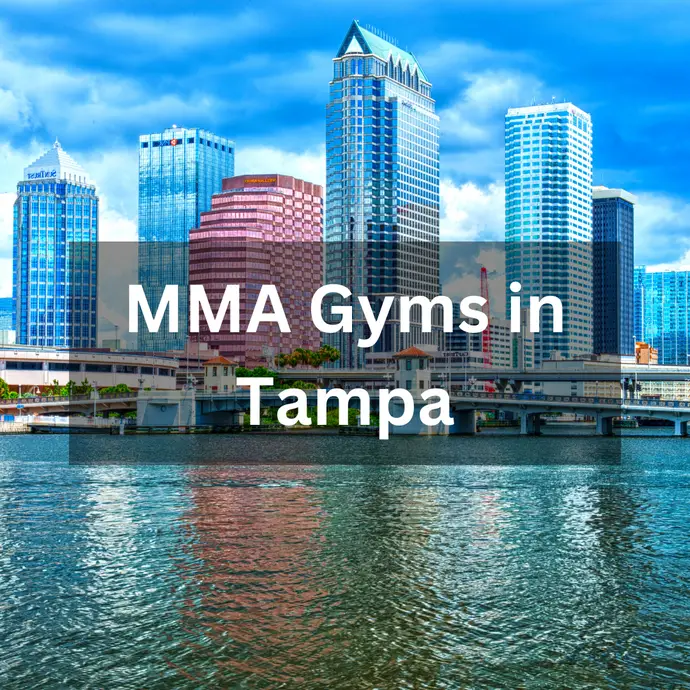 8 Best Tampa MMA Gyms: Know Before You Go