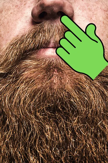 Who is Boogerbeard in the UFC? | Easily Explained