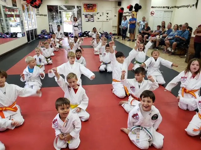 A Review of Victory Martial Arts in Windermere | Explained